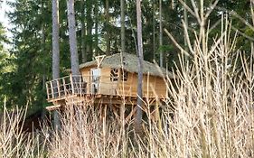 Treehouse U Rybnika