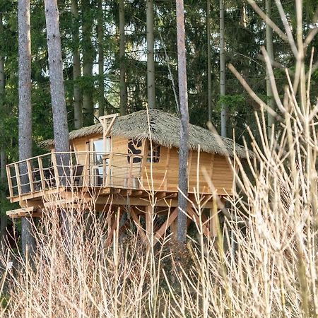 Hotel Treehouse U Rybnika Osecna Exteriér fotografie