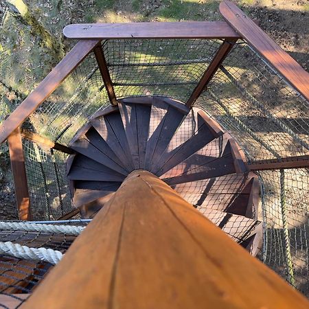 Hotel Treehouse U Rybnika Osecna Exteriér fotografie