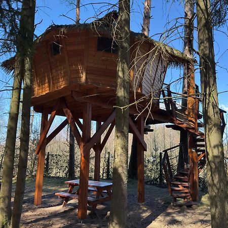 Hotel Treehouse U Rybnika Osecna Exteriér fotografie