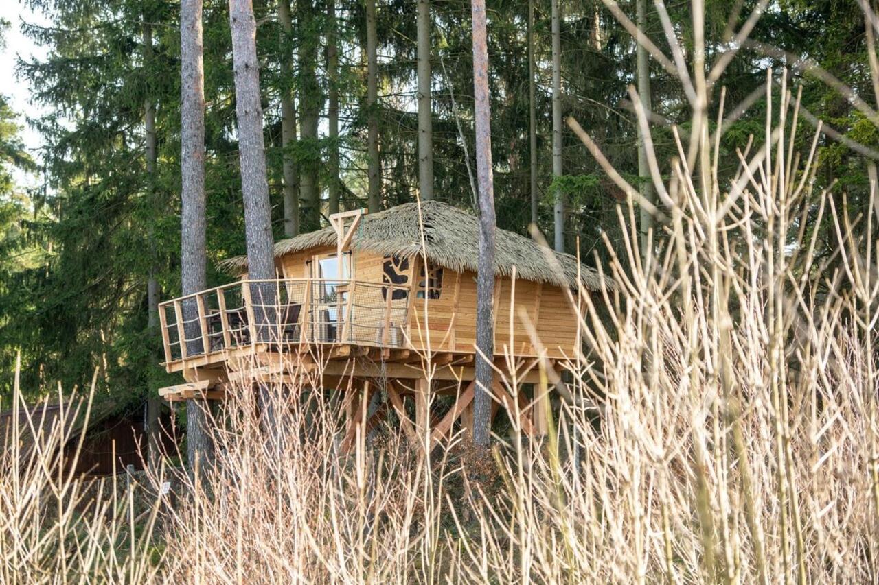 Hotel Treehouse U Rybnika Osecna Exteriér fotografie