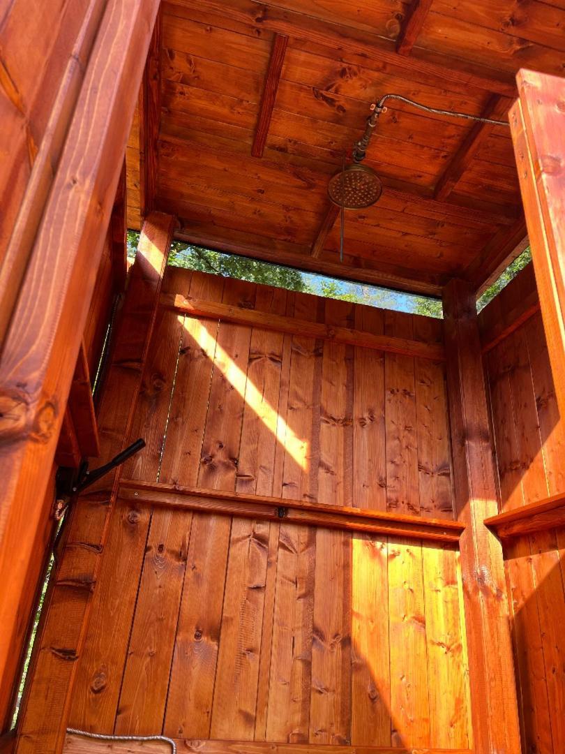 Hotel Treehouse U Rybnika Osecna Exteriér fotografie